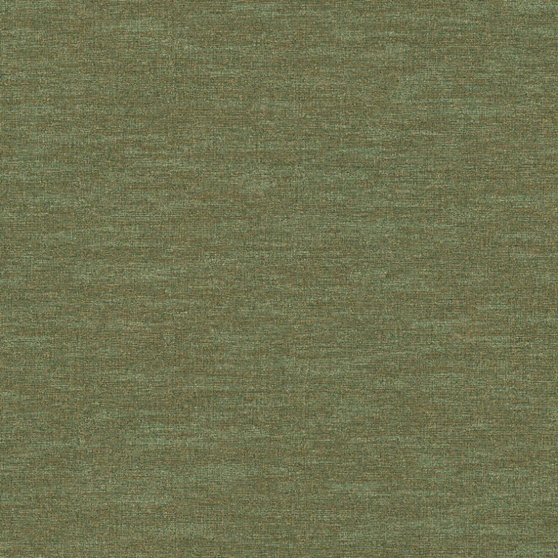 1113-8 Beta Duvar Kağıdı Modeli